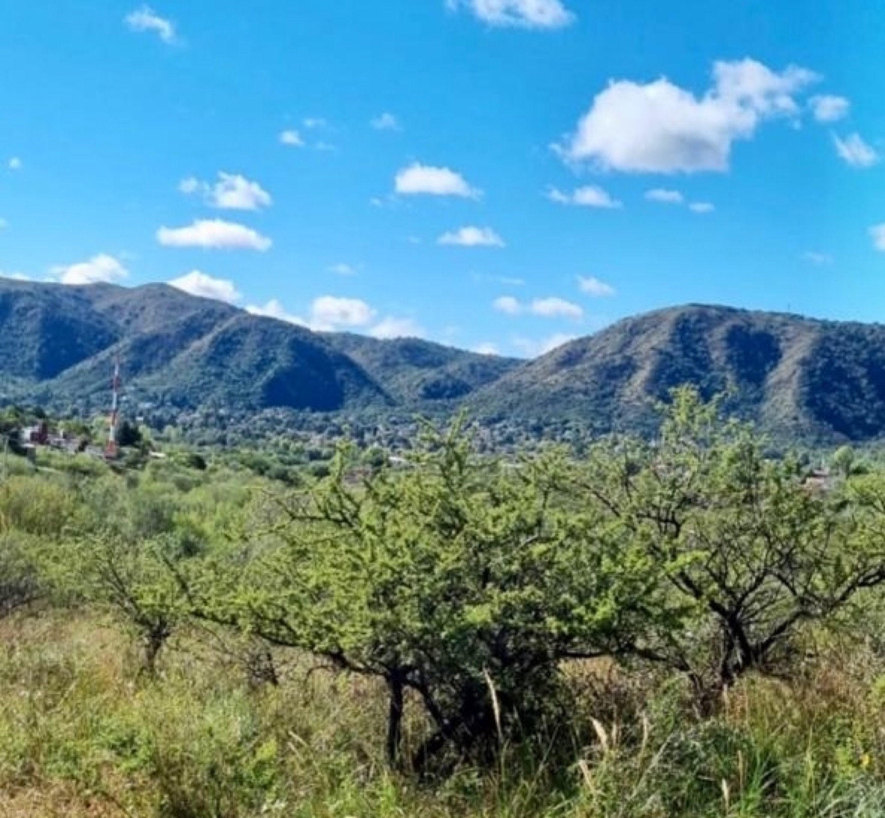 Vista de las sierras y el valle desde los lotes de Colina del Este, con vegetación nativa en primer plano
